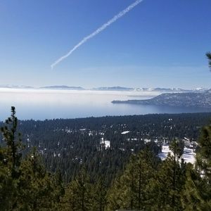 Meet your Posher, Tom